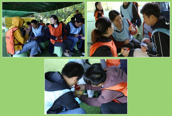 鸿嘉利新能源充电桩-16