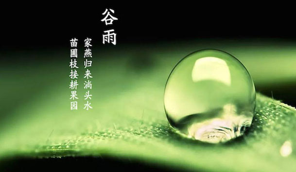 谷雨，春季的最后一个节气