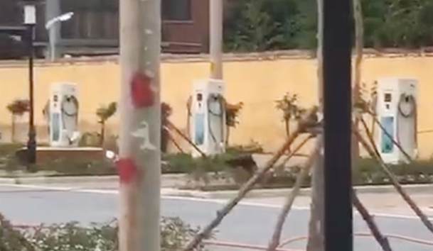 驻马店市公共停车场充电站80kW双枪直流充电桩项目案例